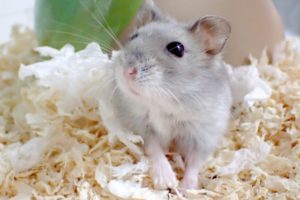おひとりさまを楽しむ女性達に学ぶ。単身赴任の乗り越える４つの方法
